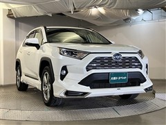 RAV4 HV G
