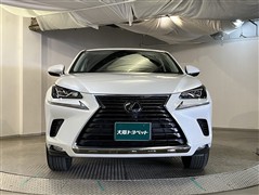 NX300 バージョンL