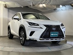 NX300 バージョンL
