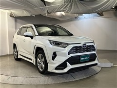 RAV4 HV G