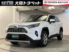 RAV4 HV G