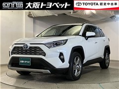 RAV4 HV G