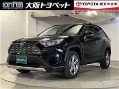 RAV4 G