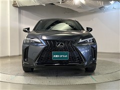 UX250h Fスポーツ エモーショナ