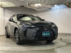 UX250h Fスポーツ エモーショナ