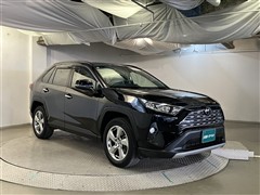 RAV4 G