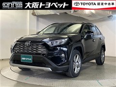 RAV4 G
