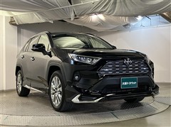 RAV4 G Zパッケージ