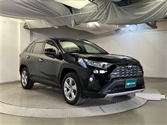 RAV4 G