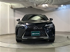 UX250h バージョンL