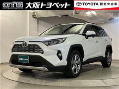 RAV4 G