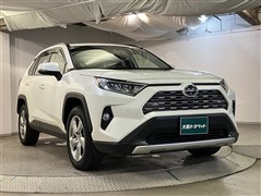 RAV4 G