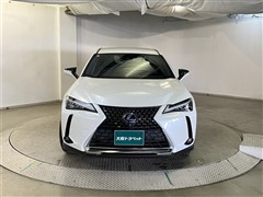 UX250h バージョンC