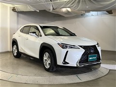 UX250h バージョンC