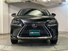 NX300h Iパッケージ