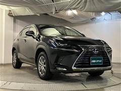 NX300h Iパッケージ