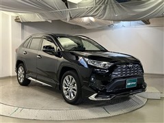 RAV4 G Zパッケージ