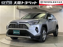 RAV4 HV G