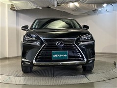 NX300h Iパッケージ