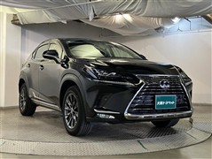 NX300h Iパッケージ