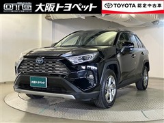 RAV4 HV G