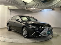 ES300h グレイスフルエスコート