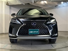 RX450hL ヒョウジュンシャ