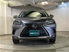 NX300h Iパッケージ