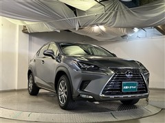 NX300h Iパッケージ