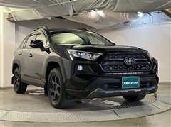 RAV4 アドベンチャー オフロート