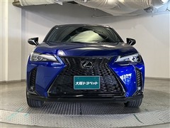 UX250h Fスポエモ Exp