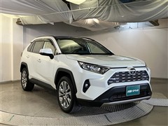 RAV4 G Zパッケージ