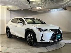 UX250h バージョンL