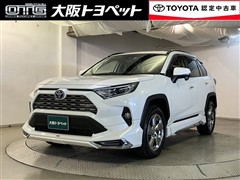 RAV4 HV G