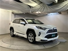 RAV4 HV G