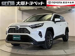 RAV4 HV G