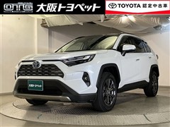 RAV4 HV G
