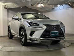 NX300 Iパッケージ