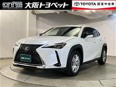 UX250h バージョンC
