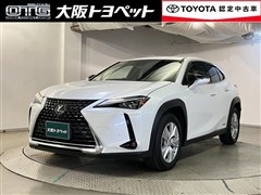 UX250h バージョンC
