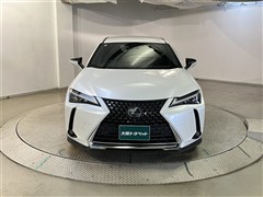 UX250h バージョンC