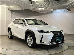 UX250h バージョンC