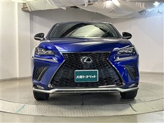 NX300 Fスポーツ