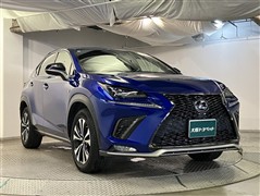 NX300 Fスポーツ