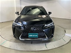 UX250h バージョンC