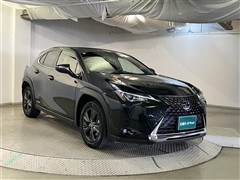 UX250h バージョンC
