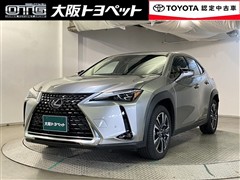 UX250h バージョンL