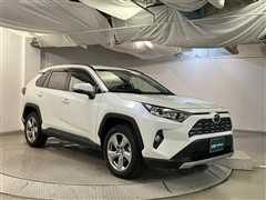 RAV4 G