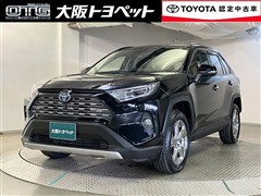 RAV4 HV G
