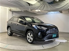 RAV4 HV G